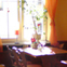 Galerie
