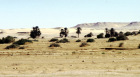 Egypte, Mara p�ninsule du Sina�, pr�s de la Mer Rouge