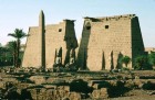 Egypte. Temple de louxor.