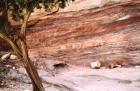 Jordanie. P�tra.