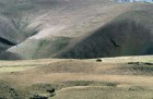 Turquie. Paysage des monts pr�s de l'Ararat.jpg