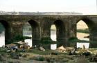 Turquie. Pont pr�s de Dyarbakir.