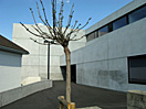 Kantonsschule DMS, 8200 Schaffhausen | Bauherr: Kanton Schaffhausen, 8200 Schaffhausen | Bausumme: Fr. 1'525'000.00