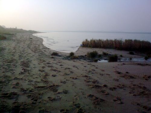 strandkorb.jpg