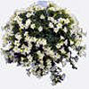 Blumenampel