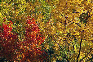 Herbsttipps