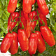 Tomaten, lang