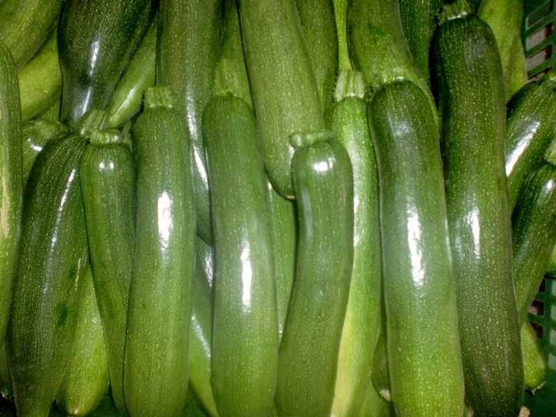 Zucchini grün