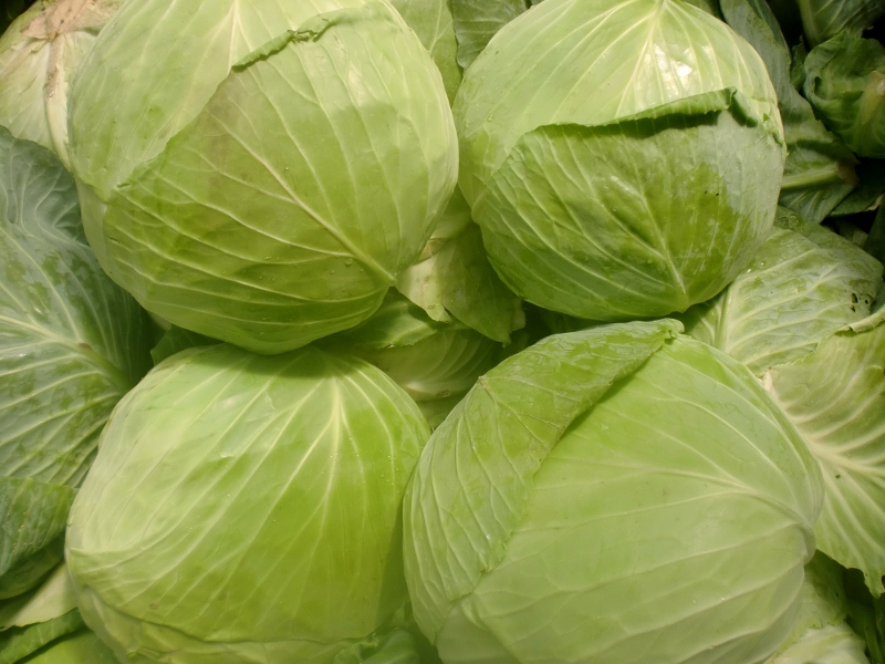 Weiskohl flach weich