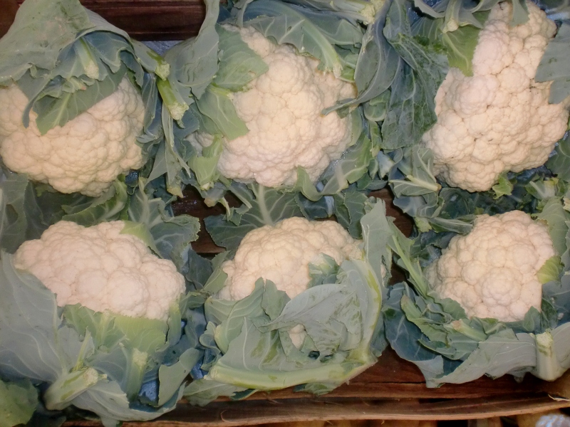 Blumenkohl