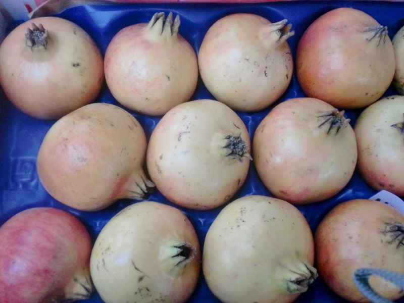Granatapfel ital.