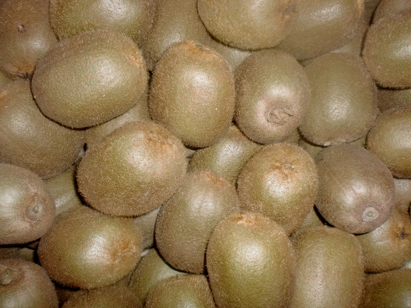 Kiwi