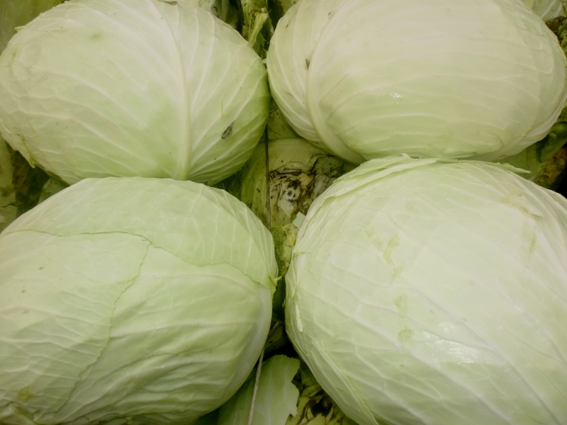 Weiskohl weich rund
