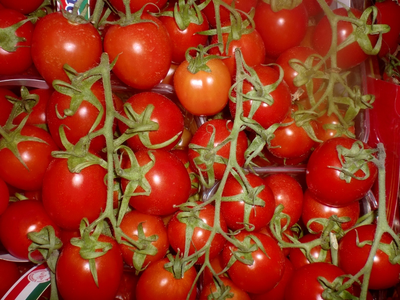 Tomaten Picadilli ital.