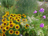 0814 Kr�utergarten Kloster Lehnin
