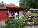 0809 Kr�utergarten Kloster Lehnin