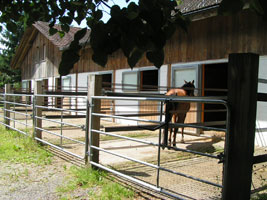 Boxen