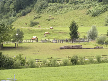 Springplatz