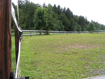 Weideland