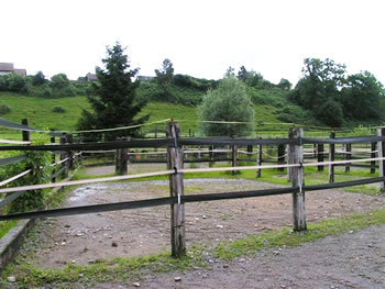 Paddocks
