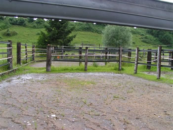 Paddocks