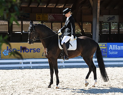 Dressurtag159-400B.jpg