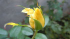 DSCN3641.jpg