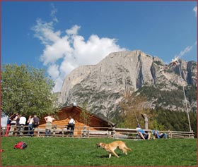 Malga Tuff