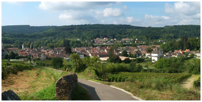 Vue de SAVIGNY LES BEAUNE - COTE D'OR - BOURGOGNE