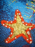 Muscheln5