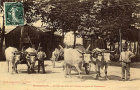 arriv�e des bois du morvan .jpg