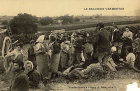 le beaunois vendangeurs au .jpg