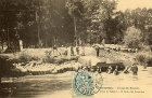 le lavage des moutons dans .jpg