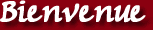 Bienvenue au grill Saint Martin - Hotel - Motel - Grill - Piszzeria - Restaurant pour s�minaire et detente � Verneuil sur Avre proche de Center Parcs dans l'Eure en Haute-Normandie