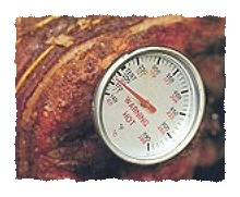 fleischthermometer
