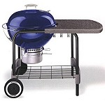 holzkohlegrill