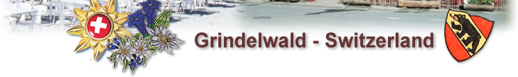 Hotel Restaurant Wetterhorn - Grindelwald
