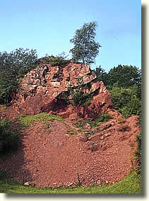 Martenbergklippe (Rosensch�sschen)