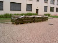 Rallrasen auf Paletten