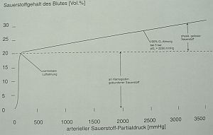 Sauerstoffgehalt des Blutes (Vol.%)