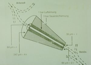 Krogh-Zylinder