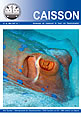 Caisson 22. Jg. März 2007 Nr. 1