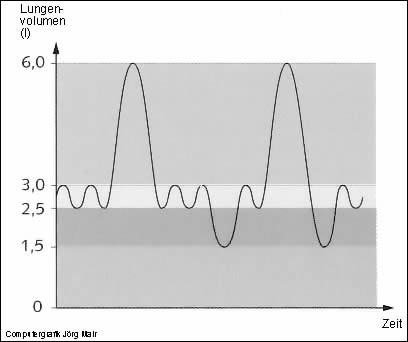 Physiologie der Atmung