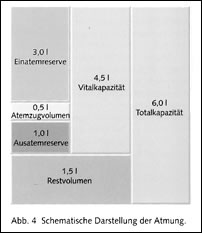 Totraum der Lunge