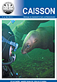 Caisson 01/2009