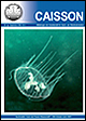 Caisson 24. Jg. September Nr. 3