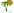 guadeloupe-reisen.de - Palme