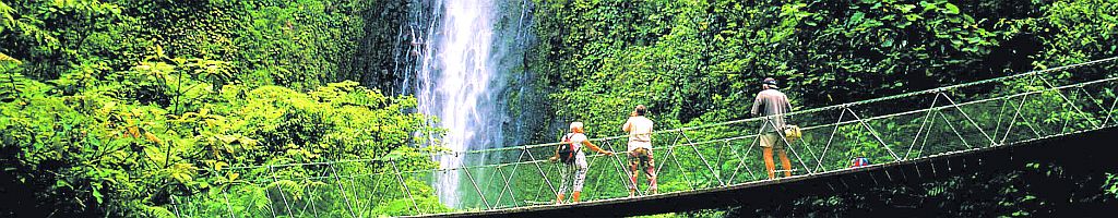 Insel Guadelouope - Im Nationalpark bei den Wasserf&auml;llen Chutes du Carbet