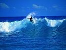 Insel Guadeloupe - das ist die perfekte Welle . . .