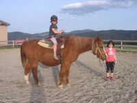 Pferd Merkur mit Natalie und Luisa